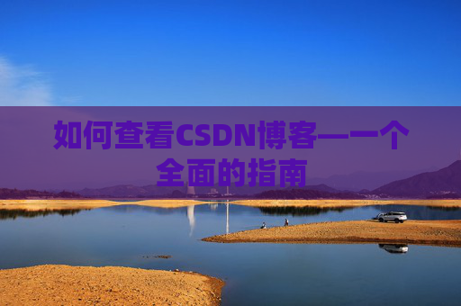 如何查看CSDN博客—一个全面的指南